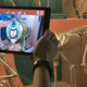 Illustration for article titled The Smithsonian's New App Brings Museum Skeletons and Fossils To Life